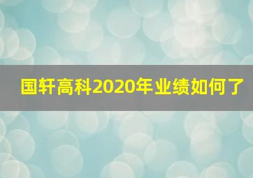 国轩高科2020年业绩如何了