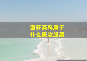 国轩高科属于什么概念股票