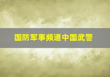 国防军事频道中国武警