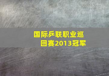 国际乒联职业巡回赛2013冠军