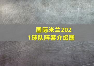 国际米兰2021球队阵容介绍图