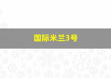 国际米兰3号