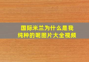 国际米兰为什么是我纯种的呢图片大全视频