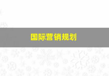 国际营销规划