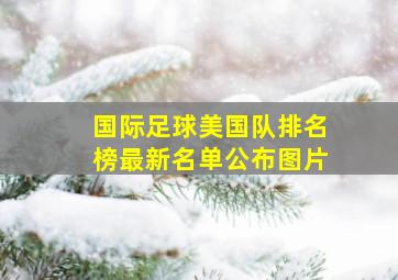 国际足球美国队排名榜最新名单公布图片