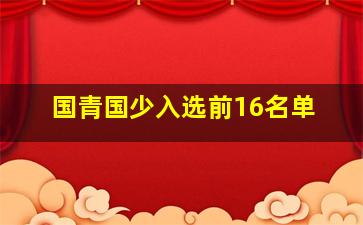 国青国少入选前16名单