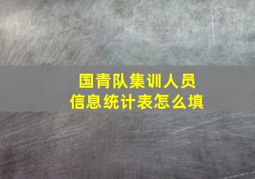 国青队集训人员信息统计表怎么填