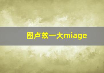 图卢兹一大miage