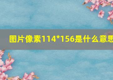 图片像素114*156是什么意思