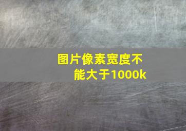 图片像素宽度不能大于1000k