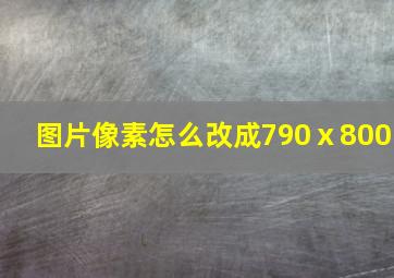 图片像素怎么改成790ⅹ800