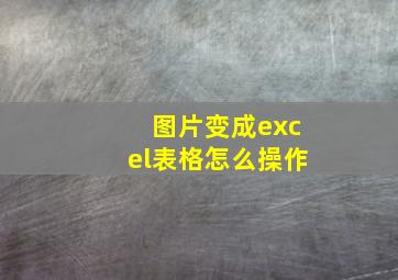 图片变成excel表格怎么操作