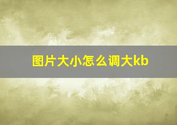 图片大小怎么调大kb