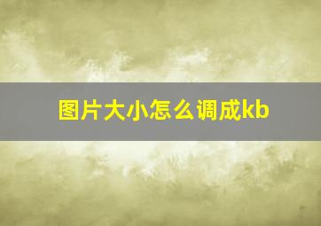 图片大小怎么调成kb