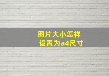 图片大小怎样设置为a4尺寸