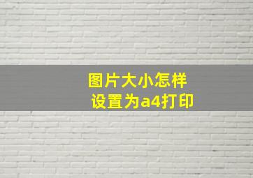 图片大小怎样设置为a4打印