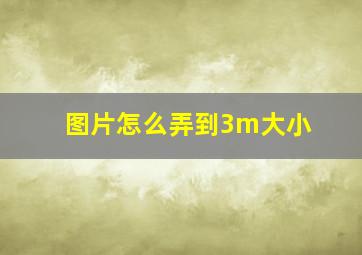 图片怎么弄到3m大小