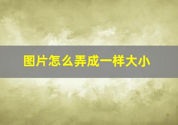 图片怎么弄成一样大小