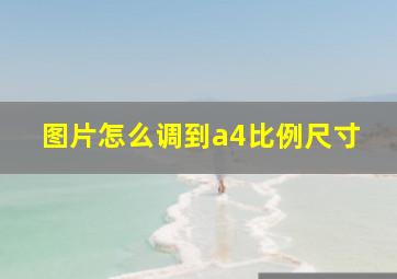 图片怎么调到a4比例尺寸