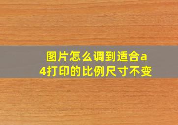 图片怎么调到适合a4打印的比例尺寸不变