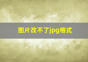 图片改不了jpg格式