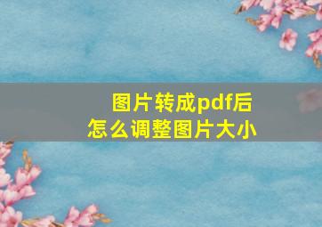 图片转成pdf后怎么调整图片大小