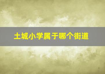 土城小学属于哪个街道