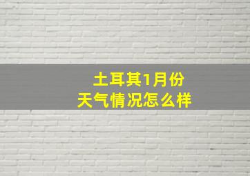 土耳其1月份天气情况怎么样