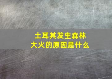 土耳其发生森林大火的原因是什么