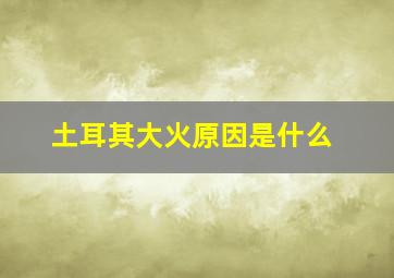 土耳其大火原因是什么