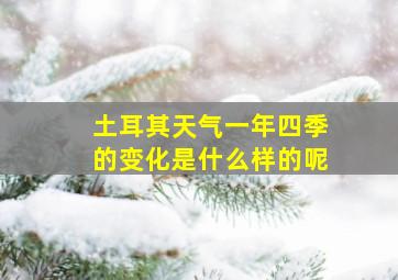 土耳其天气一年四季的变化是什么样的呢