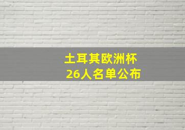 土耳其欧洲杯26人名单公布