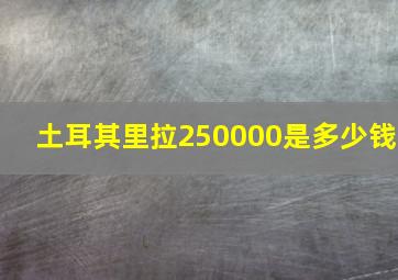 土耳其里拉250000是多少钱