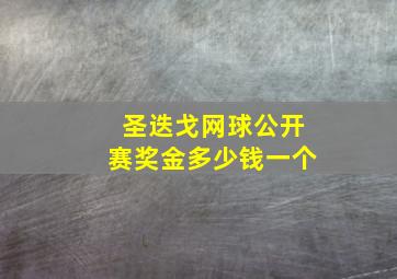 圣迭戈网球公开赛奖金多少钱一个