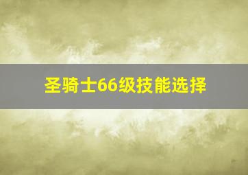 圣骑士66级技能选择