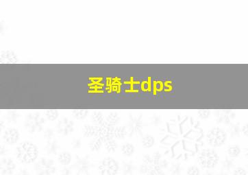 圣骑士dps