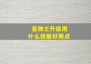 圣骑士升级用什么技能好用点