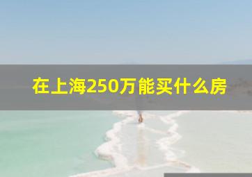 在上海250万能买什么房