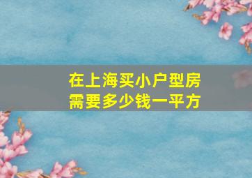 在上海买小户型房需要多少钱一平方