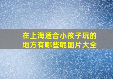 在上海适合小孩子玩的地方有哪些呢图片大全