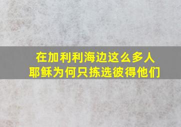 在加利利海边这么多人耶稣为何只拣选彼得他们