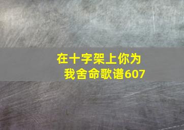 在十字架上你为我舍命歌谱607