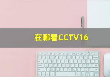 在哪看CCTV16