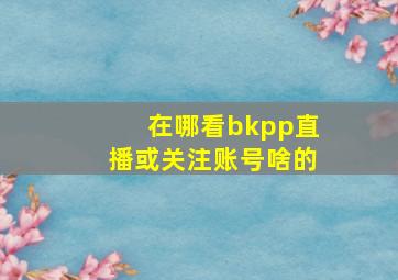 在哪看bkpp直播或关注账号啥的