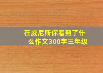 在威尼斯你看到了什么作文300字三年级