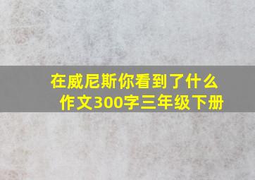 在威尼斯你看到了什么作文300字三年级下册