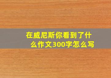 在威尼斯你看到了什么作文300字怎么写