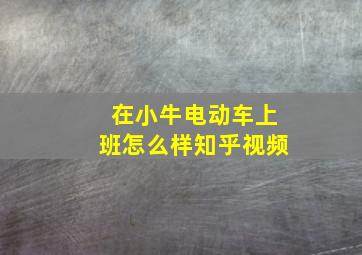 在小牛电动车上班怎么样知乎视频