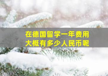 在德国留学一年费用大概有多少人民币呢