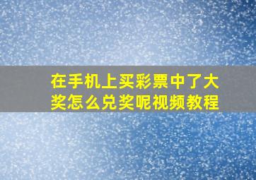 在手机上买彩票中了大奖怎么兑奖呢视频教程